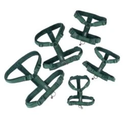 Arnés Nomad Tales Blush Esmeralda Para Perros 41 Arnés Nomad Tales Blush Esmeralda Para Perros -Mascota Tienda 323020 nomad tales blush geschirr emerald fg 1293 7