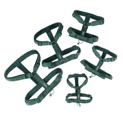 Arnés Nomad Tales Blush Esmeralda Para Perros 22 Arnés Nomad Tales Blush Esmeralda Para Perros - Imagen 20