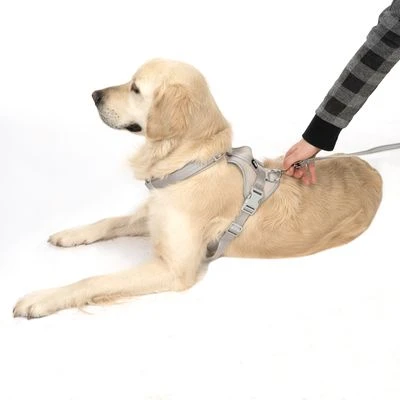 Arnés TIAKI Neoprene Gris Para Perros 7 Arnés TIAKI Neoprene Gris Para Perros - Imagen 5