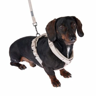 Arnés Nomad Tales Blush Beige Topo Para Perros 20 Arnés Nomad Tales Blush Beige Topo Para Perros - Imagen 18