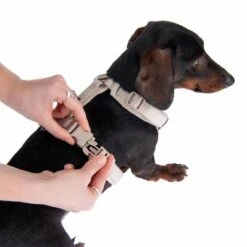 Arnés Nomad Tales Blush Beige Topo Para Perros 37 Arnés Nomad Tales Blush Beige Topo Para Perros -Mascota Tienda 323796 blush s fg 6905 5