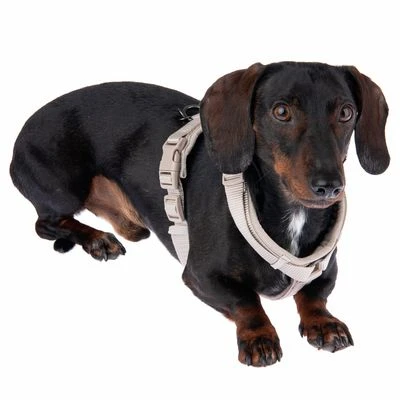 Arnés Nomad Tales Blush Beige Topo Para Perros 19 Arnés Nomad Tales Blush Beige Topo Para Perros - Imagen 17