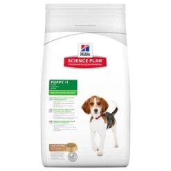 Hill's Science Plan Hill's Puppy <1 Medium Science Plan Con Cordero Y Arroz -Mascota Tienda 32390 pla hill s caninepuppy lambrice 3