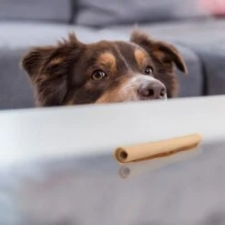 SmartBones Palitos Enrollados Con Pollo Para Perros 10 SmartBones Palitos Enrollados Con Pollo Para Perros -Mascota Tienda 324401 smartsticks wrapped kausticks huhn stck hs 04 8