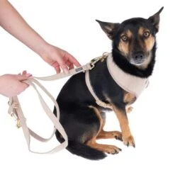 Correa Nomad Tales Calma Arena Para Perros -Mascota Tienda 324713 calma fg 7805 1