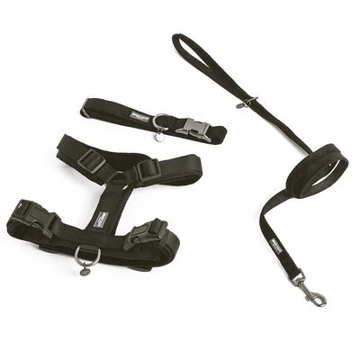 Collar Nomad Tales Blush ébano Para Perros - Imagen 14