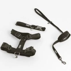 Arnés Nomad Tales Blush ébano Para Perros -Mascota Tienda 325399 nomad tales blush geschirr ebony 02 9