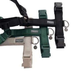 Arnés Nomad Tales Blush ébano Para Perros -Mascota Tienda 325399 nomad tales blush geschirre fg 1294 4