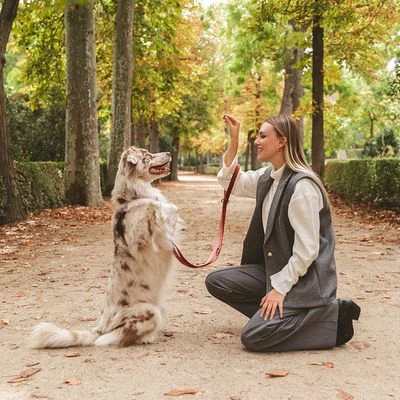 Correa Nomad Tales Blush Vino Para Perros 7 Correa Nomad Tales Blush Vino Para Perros - Imagen 5