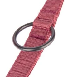 Correa Nomad Tales Blush Vino Para Perros 30 Correa Nomad Tales Blush Vino Para Perros -Mascota Tienda 325601 nomad tales blush hundeleine rose fg 1401 7