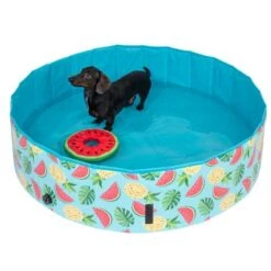Piscina Para Perros TIAKI Con Cubierta 22 Piscina Para Perros TIAKI Con Cubierta -Mascota Tienda 325909 schwimmende wassermelone mit ball fg 6696 3