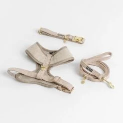 Correa Nomad Tales Calma Arena Para Perros -Mascota Tienda 326198 326096 nomad tales calma halsband ebony 01 2