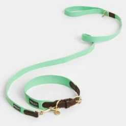 Collar Nomad Tales Bloom Menta Para Perros -Mascota Tienda 326798 nomad tales bloom halsband mint 04 7