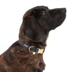 Collar Nomad Tales Calma ébano Para Perros -Mascota Tienda 326805 calma l ebony fg 7924 8