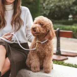 Collar Nomad Tales Calma Piedra Para Perros 18 Collar Nomad Tales Calma Piedra Para Perros -Mascota Tienda 326806 326197 nomad tales calma halsband stone 03 5 1