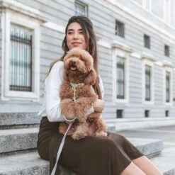 Collar Nomad Tales Calma Piedra Para Perros 26 Collar Nomad Tales Calma Piedra Para Perros -Mascota Tienda 326806 326197 nomad tales calma halsband stone 05 0 1