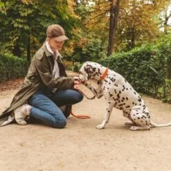 Collar Nomad Tales Spirit Mandarina Para Perros 20 Collar Nomad Tales Spirit Mandarina Para Perros -Mascota Tienda 328896 nomad tales halsband tangerine leine 02 8