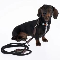 Correa Ajustable Nomad Tales Spirit ébano Para Perros -Mascota Tienda 329001 329396 spirit xs fg 7727 4