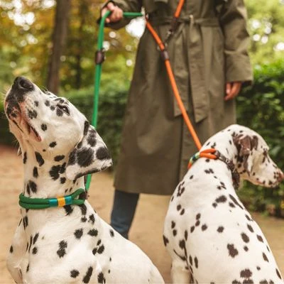 Correa Ajustable Nomad Tales Spirit Pino Para Perros 4 Correa Ajustable Nomad Tales Spirit Pino Para Perros - Imagen 2