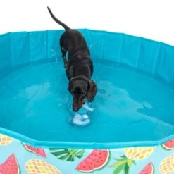 Piscina Para Perros TIAKI Con Cubierta 31 Piscina Para Perros TIAKI Con Cubierta -Mascota Tienda 329014 tiaki seahorse fg 6664 7