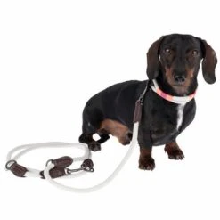 Collar Nomad Tales Spirit Piedra Para Perros 30 Collar Nomad Tales Spirit Piedra Para Perros -Mascota Tienda 329197 329397 spirit xs fg 7690 3