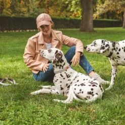 Collar Nomad Tales Spirit Piedra Para Perros 21 Collar Nomad Tales Spirit Piedra Para Perros -Mascota Tienda 329197 nomad tales spirit halsband stone 04 4