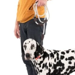 Correa Ajustable Nomad Tales Spirit Piedra Para Perros 20 Correa Ajustable Nomad Tales Spirit Piedra Para Perros -Mascota Tienda 329296 329397 spirit l fg 7494 9