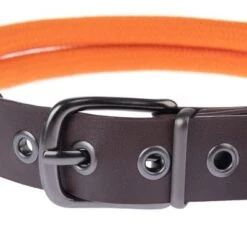 Collar Nomad Tales Spirit Mandarina Para Perros 24 Collar Nomad Tales Spirit Mandarina Para Perros -Mascota Tienda 329297 nomad tales spirit leinen halsbaender fg 1754 8