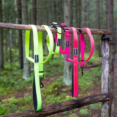 Correa Reflectante Rukka® Bliss Neon Rosa Para Perros - Imagen 2