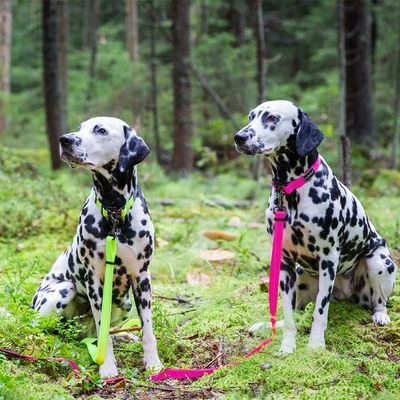 Correa Reflectante Rukka® Bliss Neon Rosa Para Perros - Imagen 3