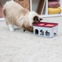 Trixie Cat Activity Rod Box Juego De Inteligencia Para Gatos -Mascota Tienda 332214 trixie cat activity rod box hs 09 1