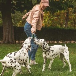 Cuerda Trébol Nomad Tales Spirit Juguete Para Perros -Mascota Tienda 333014 nomad tales spirit spieltau kleeblatt 01 7