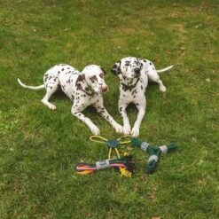 Cuerda Trébol Nomad Tales Spirit Juguete Para Perros -Mascota Tienda 333014 nomad tales spirit spieltau kleeblatt 03 4