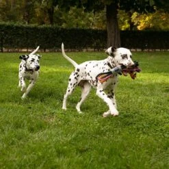 Cuerdas Varias Nomad Tales Spirit Multirope Juguete Para Perros -Mascota Tienda 333098 nomad tales spirit multirope hs 02 8