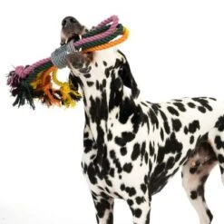 Cuerdas Varias Nomad Tales Spirit Multirope Juguete Para Perros -Mascota Tienda 333098 spirit multirope fg 0530 3