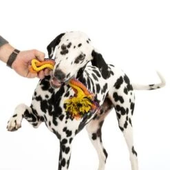 Cuerdas Varias Nomad Tales Spirit Multirope Juguete Para Perros -Mascota Tienda 333098 spirit multirope fg 0537 5