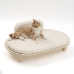 Sofá Osaka Modern Living Para Mascotas 26 Sofá Osaka Modern Living Para Mascotas -Mascota Tienda 342803 modern living osaka katze 0629 4