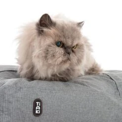 TIAKI Cojín De Peluche Abbey Para Mascotas 16 TIAKI Cojín De Peluche Abbey Para Mascotas -Mascota Tienda 343496 kuschelkissen abbey cat fg 8494 0