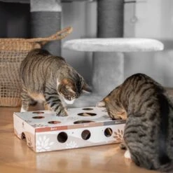 Canadian Cat Company MagicBox Juego De Inteligencia Para Gatos -Mascota Tienda 346599 canadiancat company intelligenzspielzeug magicbox hs 13 9