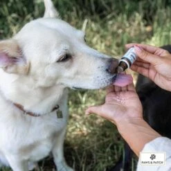 PAWS & PATCH Complemento Para La Ansiedad -Mascota Tienda 347097 paws patch angst unsicherheit hs 02 8