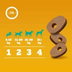 Pedigree Multivitaminas Para El Sistema Inmunitario 8 Pedigree Multivitaminas Para El Sistema Inmunitario -Mascota Tienda 372107 pedigree multivitamins immunsystem hs 07 6