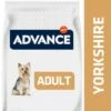 Advance Yorkshire Terrier Adult 1 Advance Yorkshire Terrier Adult -Mascota Tienda 384796 advance mini yorkshireterrier hs 02 6