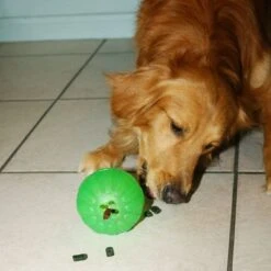 Starmark Pelota Portasnacks Para Perros -Mascota Tienda 388801 starmark treat dispensing chewball hs 04 0