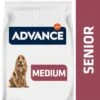 Advance Medium Senior Con Pollo Y Arroz 2 Advance Medium Senior Con Pollo Y Arroz -Mascota Tienda 397699 mhi advance puppy sensitive lachs 3kg hs 01 6