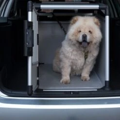 Jaula De Transporte Trixie De Aluminio -Mascota Tienda 42815 trixie transportbox alu fg 3618 0