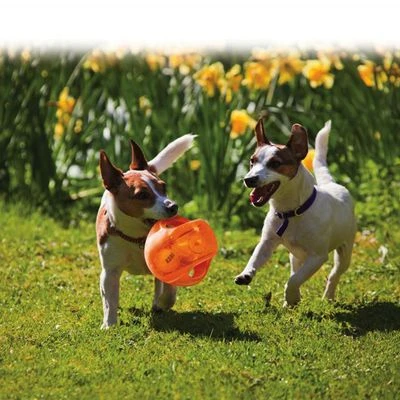 KONG Jumbler Pelota Para Perros 8 KONG Jumbler Pelota Para Perros - Imagen 6