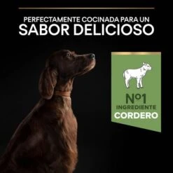PURINA PRO PLAN Large Adult Athletic Sensitive Digestion Cordero Y Arroz -Mascota Tienda 44142537 es es 221230 1 3