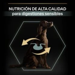 PURINA PRO PLAN Large Adult Athletic Sensitive Digestion Cordero Y Arroz -Mascota Tienda 44142537 es es 221230 1 3 2