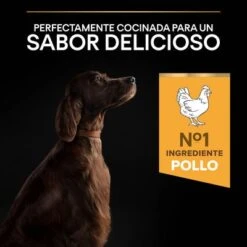 PURINA PRO PLAN Large Athletic Adult Everyday Nutrition -Mascota Tienda 44142590 es es 221230 1 1