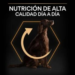 PURINA PRO PLAN Large Athletic Adult Everyday Nutrition -Mascota Tienda 44142590 es es 221230 1 3 8